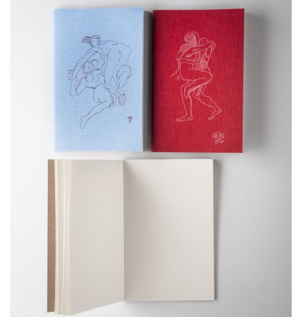 Lot de 3 cahiers Le Typographe